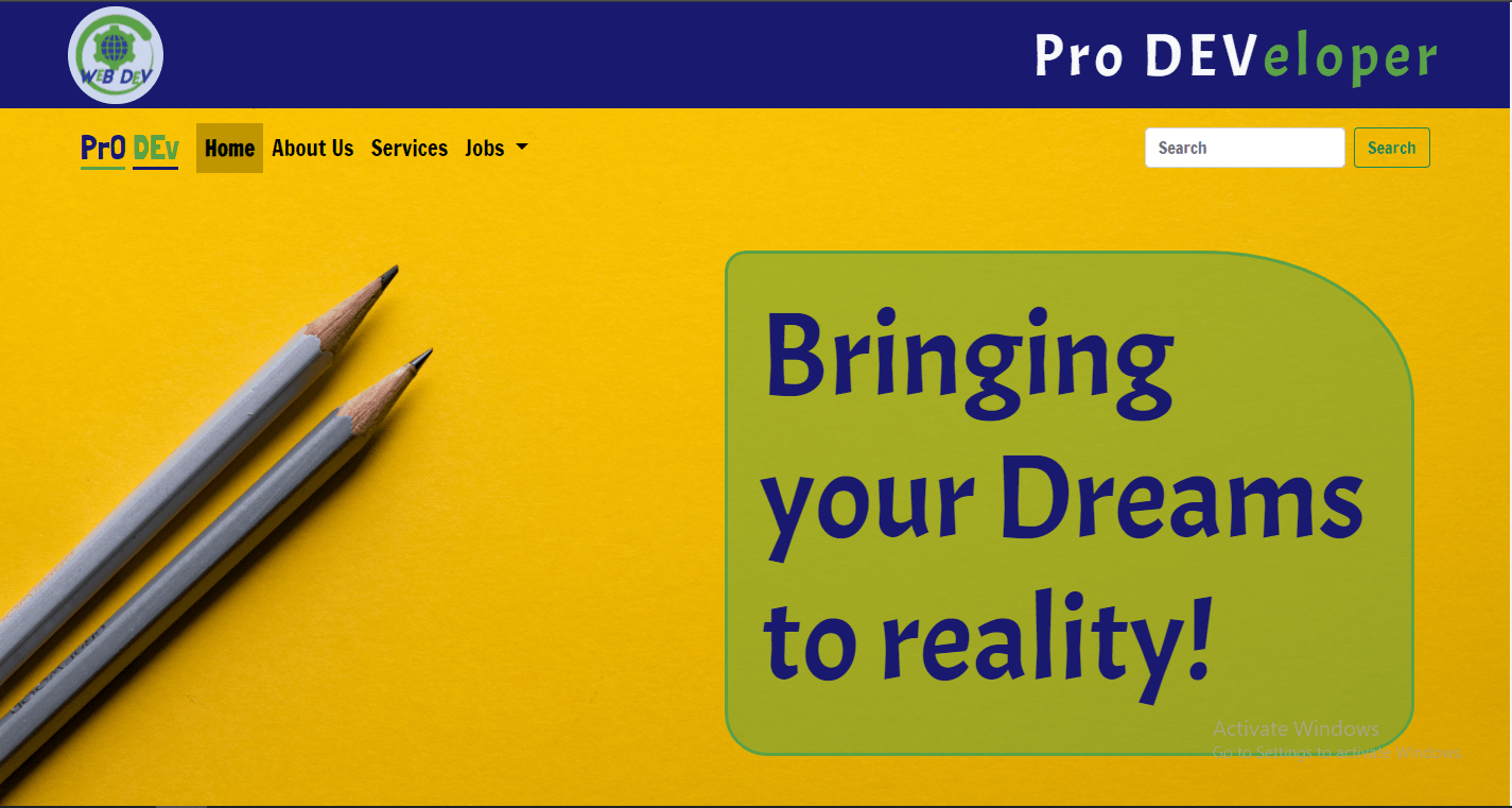 Project Pro Dev